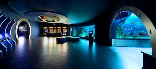 Istanbul Aquarium