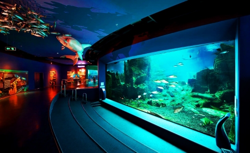 Istanbul Aquarium