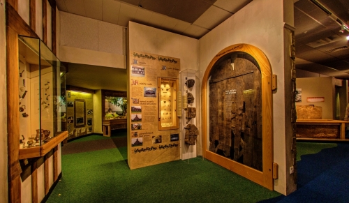 Doncaster Museum